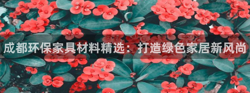 意昂5(KGAME)平台测速登陆：成都环保家具材料精选：打造