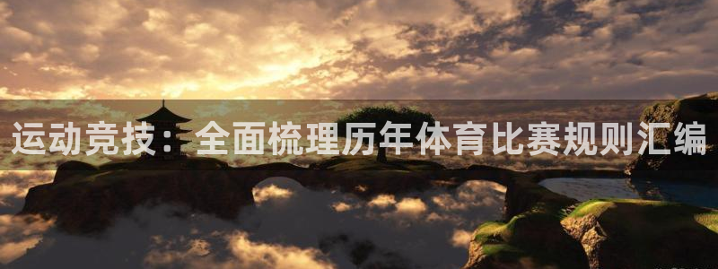 中欧体育集团