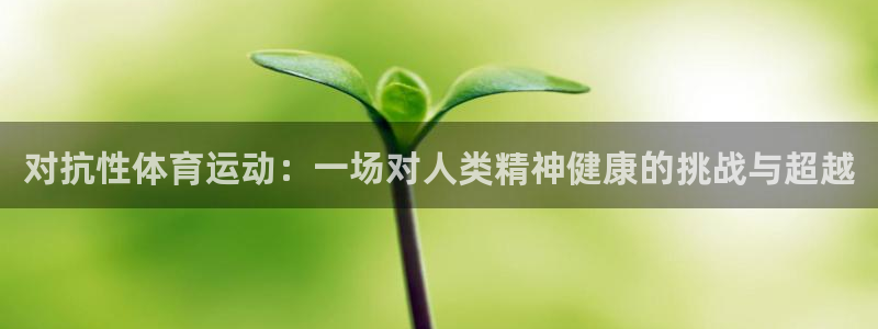 zoty中欧体育网址多少