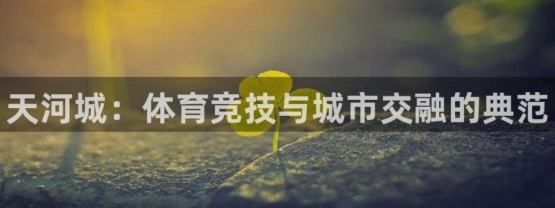 中欧体育集团