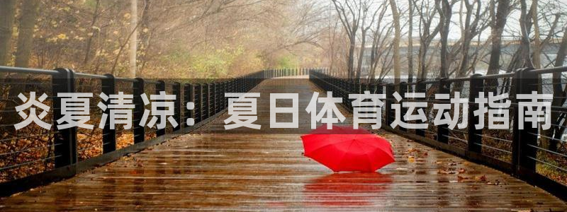 中欧体育平台