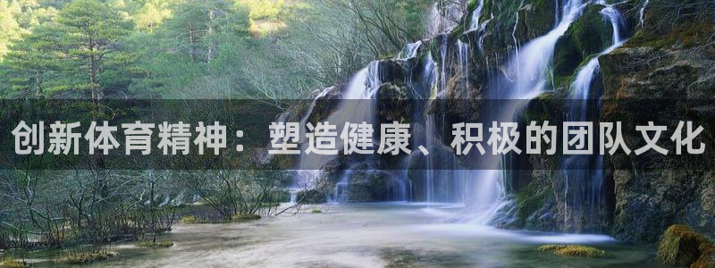 中欧体育客服