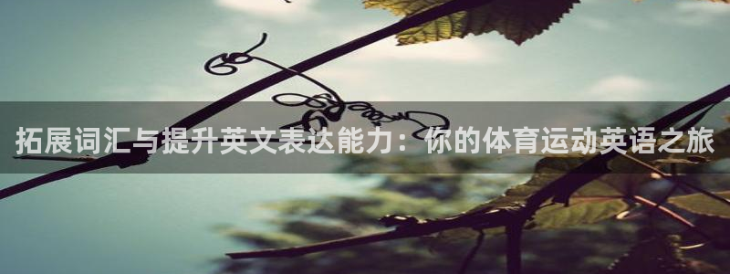 中欧体育李勇鸿