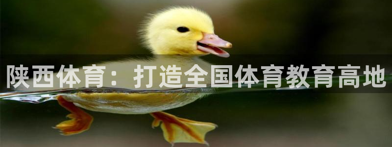 中欧体育网页版